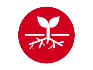 Das Aranet-Ökosystem ist nicht...