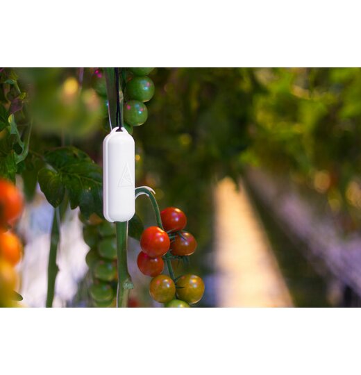 Aranet Feuchte-/Temperatur-Datenlogger mit Funk Messbereich -40C...60C